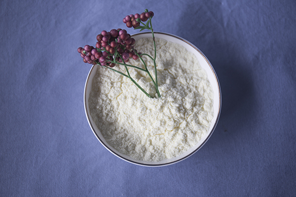 冷饮专用植脂末批发